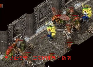 ��ְҵ���棺���߹�������ָ��