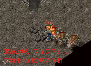 ��¹ɳ�ǣ��ʶ����£�������������ȫ���Խ���