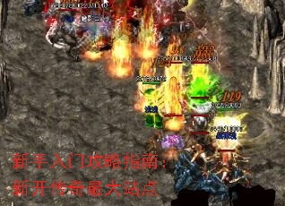 �������Ź���ָ�ϣ��¿��������վ��