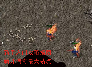 �������Ź���ָ�ϣ��¿��������վ��