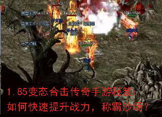 1.85��̬�ϻ������������ţ���ο�������ս�����ư�ɳ����