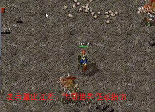 �ϱ��س�����������������սָ��