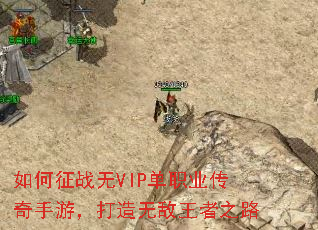 �����ս��VIP��ְҵ�������Σ������޵�����֮·