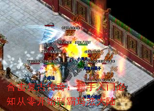 �ϻ����Ŵ��棺�������ű�֪���㿪ʼ�ư��귨��½