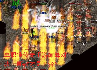 ��ְҵ���������۷�Ծ����Ŀ�������ߣ�