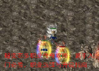 超变态多职业传奇攻略:新手入门必看,职业选择与升级指南 超变态多职业传奇攻略:新手入门必看,职业选择与升级指南