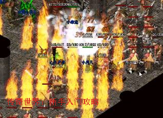 �������磺�������Ź���