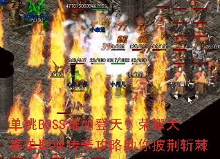 ����BOSS������죿��ҫ��׭��ְҵ���湥����������ն��