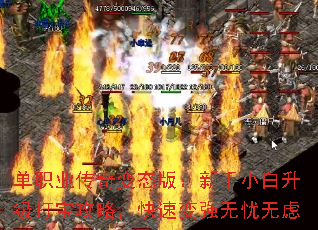 ��ְҵ�����̬�棺����С�������򱦹��ԣ����ٱ�ǿ��������