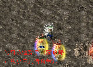 �������������ưԹ��ԣ���С�׵������ʦ