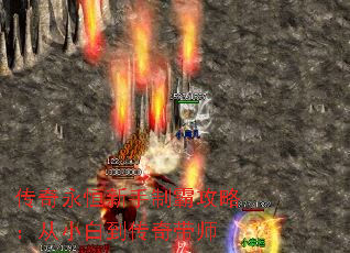 �������������ưԹ��ԣ���С�׵������ʦ