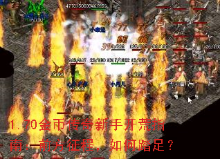 1.70��Ҵ������ֿ���ָ�ϣ�ǰ�����̣����̤�㣿