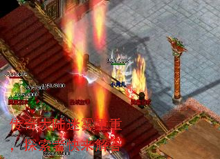 �����½�������أ�̽���߿������