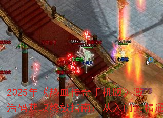 2025�꡶��Ѫ�����ֻ��桷�������ȡ�ռ�ָ�ϣ������ŵ���ͨ