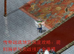 ����ս��ع���ȹ��ԣ����������ʵս����ȫ����