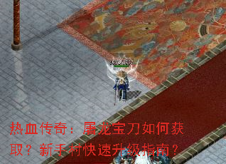 ��Ѫ���棺����������λ�ȡ�����ִ��������ָ�ϣ�