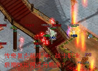 ���渴��˽������սʿְҵ����PK�������ʤ�ʣ�