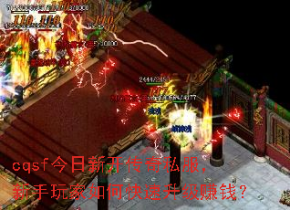 cqsf�����¿�����˽�������������ο�������׬Ǯ��