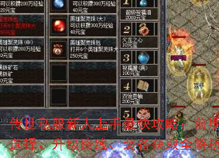 ����˽������������칥�ԣ�ǰ��ְҵѡ������·�ߡ�װ����ȡȫ������