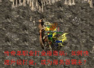 ���浥ְҵ����΢�ˣ���ο���������𣬳�Ϊ������������