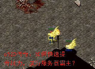 o520���棺��ο�������ս������Ϊ������������