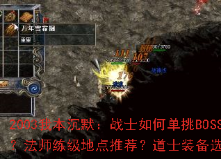 2003�ұ���Ĭ��սʿ��ε���BOSS����ʦ�����ص��Ƽ�����ʿװ��ѡ��ָ�ϣ�