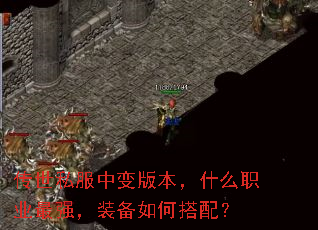 ����˽���б�汾��ʲôְҵ��ǿ��װ����δ��䣿