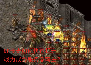 SF������ο�������ս����Ϊ������������