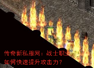 ������˽������սʿְҵ��ο���������������