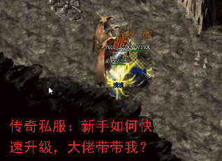 ����˽����������ο������������д����ң�