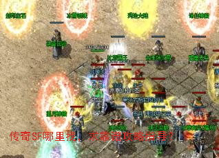 ����SF�����ң����׹���ָ����