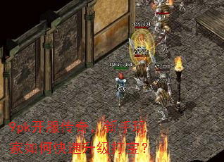 9pk开服传奇,新手玩家如何快速升级打宝? 9pk开服传奇,新手玩家如何快速升级打宝?