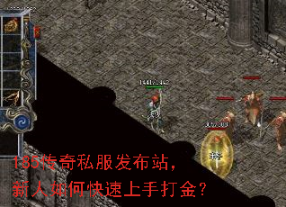 185����˽������վ��������ο������ִ��