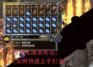 185����˽������վ��������ο������ִ��