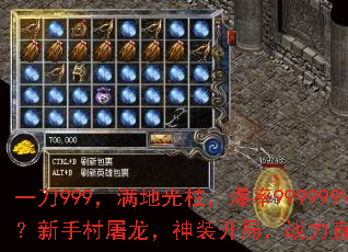 һ��999�����ع���������999999%�����ִ���������װ���֣�ս��ֱ��һ�ڰˣ�