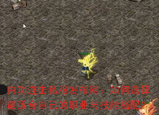 �ڹ�����˽�������������ѡ�����ʺ��Լ���ְҵ�뼼�ܴ��䣿