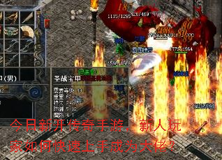 �����¿��������Σ����������ο������ֳ�Ϊ���У�