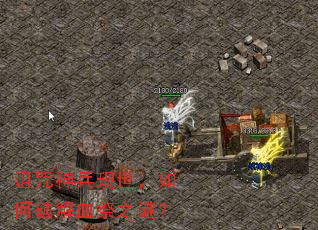 �����������������ƽ�Ѫ��֮�գ�