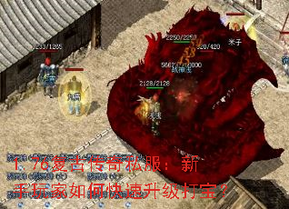 1.76���Ŵ���˽�������������ο��������򱦣�