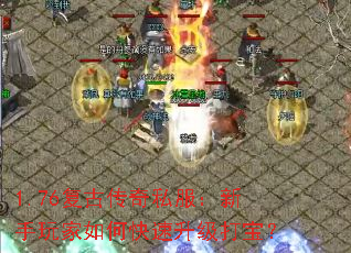 1.76���Ŵ���˽�������������ο��������򱦣�