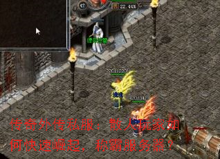 �����⴫˽����ɢ�������ο������𣬳ưԷ�������