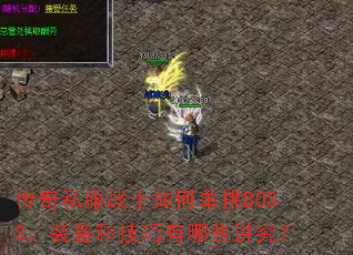 ����˽��սʿ��ε���BOSS��װ���ͼ�������Щ������