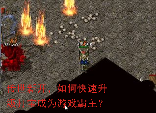 �����¿�����ο��������򱦳�Ϊ��Ϸ������