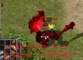 2024���´������Σ�ɢ����ο�����Ϯ����Ϊ������������