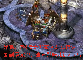 �ֵܣ�996���淢������ô����ˢ����������������ζ��������