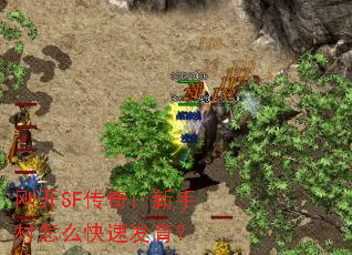 �տ�SF���棺���ִ���ô���ٷ�����