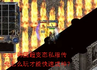 cqsf��������̬˽��������ô����ܿ��ٳ���