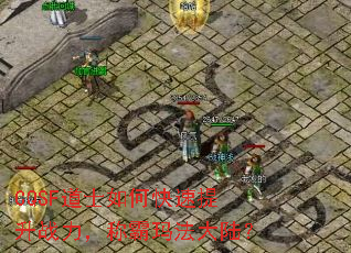 CQSF��ʿ��ο�������ս�����ư��귨��½��