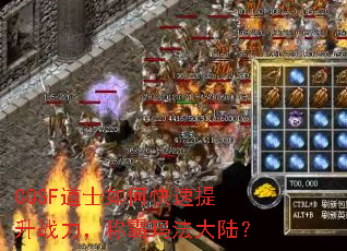 CQSF��ʿ��ο�������ս�����ư��귨��½��