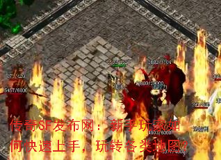 ����SF�����������������ο������֣���ת�����ͼ��